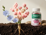 Fiber Gummies – Gomitas de Fibra Prebiótica sin Azúcar | Frambuesa y Limón